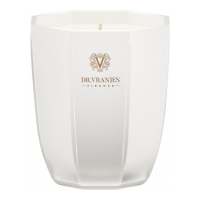 Dr. Vranjes Firenze 'Ginger Lime Pearl' Candle - 80 g