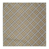 Burberry Women's 'Checkered' Scarf