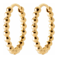 L'Atelier Précieux Women's Earrings