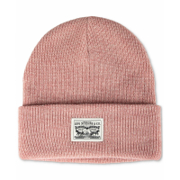 Levi's Men's 'Ribbed Logo' Beanie