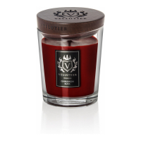 Vellutier 'Cinnamon Bliss Exclusive Medium' Scented Candle - 225 g