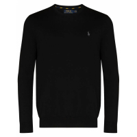 Polo Ralph Lauren Pull 'Logo Embroidery Crew Jumper' pour Hommes