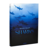 Taschen 'Michael Muller. Sharks' Book - 34 x 25.6 cm