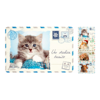 Cose a Casa 'Cats&Dogs' Tischset - 45 x 30 cm - 12 Stücke