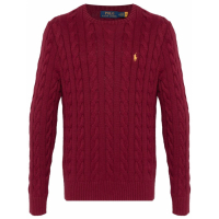 Polo Ralph Lauren Men's 'Driver' Sweater