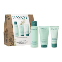 Payot 'Pâte Grise Rituel Pureté' SkinCare Set - 3 Pieces