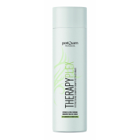 Postquam Shampoing 'Plex Postquam Therapy' - 250 ml