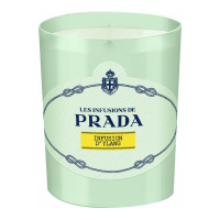 Prada Bougie parfumée 'Infusion d'Ylang' - 165 g