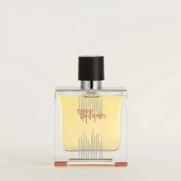 Hermès 'Terre D'Hermès' Perfume - 75 ml