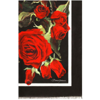 Dolce&Gabbana Women's 'Rose-Print' Scarf