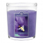 'Wild Iris' Scented Candle - 623 g