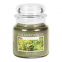 'White Cedar' 2 Wicks Candle - 454 g