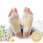 Patchs Détoxifiants Pour Pieds Ginger