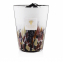 'Rainforest Tanjung Max 24' Candle - 5.2 Kg
