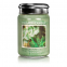 'Eucalyptus Mint' Scented Candle - 602 g