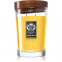 'Tropical Voyage Exclusive Large' Scented Candle - 515 g