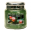 'Cactus Flower' Scented Candle - 454 g