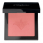 Blush 'Illuminating' - 301 Rose Nevada 5.5 g