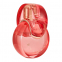 'Omnia Coral' Eau De Toilette - 100 ml