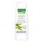 'Willow Bark' Treatment Conditioner - 200 ml