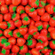 'Strawberry' Körperbutter - 50 ml