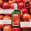 'Pomegranate Regenerating' Körperöl - 100 ml