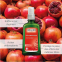 'Pomegranate Regenerating' Body Oil - 100 ml