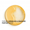 Shampooing Traitant Anti-Pelliculaire Cheveux Normaux à Gras - 200 ml, 2 Pièces