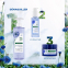 Eau Micellaire 3 In 1 au Bleuet Bio - 100 ml