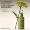 'Plantscription™ Active Wrinkle' Korrekturserum - 50 ml