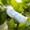 Dentifrice 'Total Protection' - 75 ml