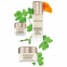 'SkinLongevity Long Life Herb' Face Serum - 30 ml