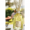 'Ginger Lime' Diffusor - 500 ml