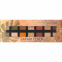 'Safari Fever' Eyeshadow Palette - 010 Wild Life 10.6 g