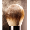 Powder Brush