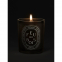 'Feu de Bois' Scented Candle - 300 g