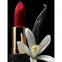 'Le Rouge Parfum Matte' Lipstick - 3.5 g