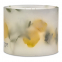 'Botanical Large' Candle - Amalfi Coast 1600 g