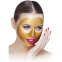 'Premium X-treme Gold Radiance Pure Gold' Regenerating Mask - 50 ml