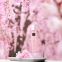 'The Ritual Of Sakura' Hair & Body Mist - 50 ml