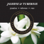 'Jasmine Tuberose' Fragrance refill for Lamps - 250 ml