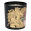 Men's 'The Female Energy' Candle - 250 g