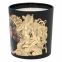 Men's 'The Courage' Candle - 250 g