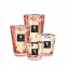 'Coral Pearls Max 16' Candle - 2.3 Kg