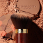 'Terracotta Kabuki' Brush