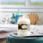 'Coconut Rice Cream' Scented Candle - 623 g