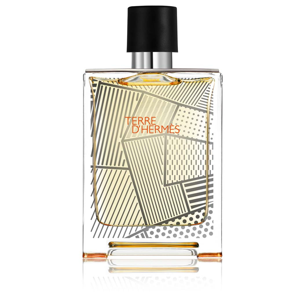 'Terre D'Hermès' Eau De Toilette - 100 ml