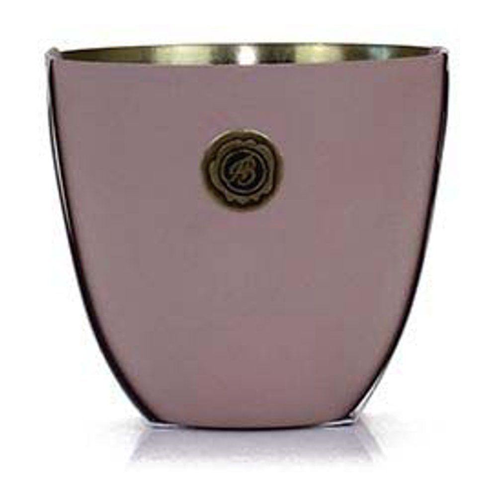 'Velvet Plum & Cassis' Scented Candle - 250 g