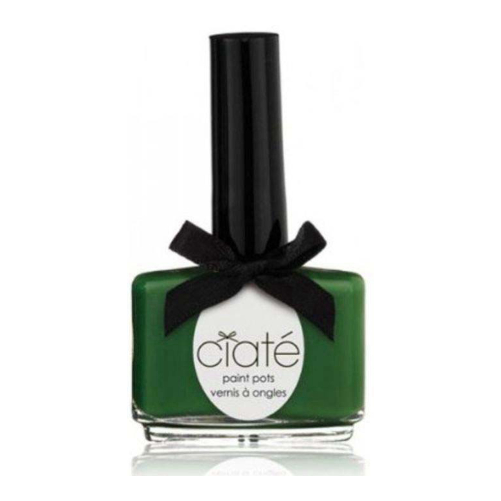 'Paint Pots' Nail Polish - 055 Stiletto 13.5 ml