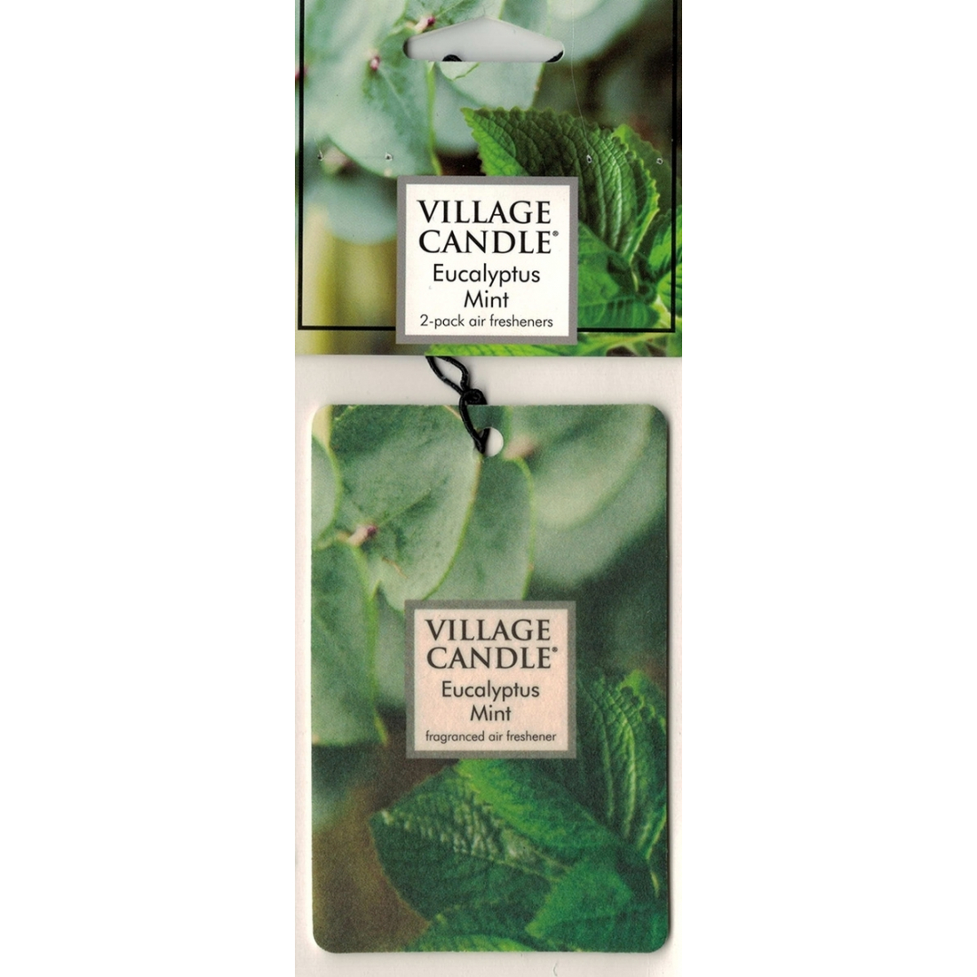 'Eucalyptus Mint' Car Air Freshner - 2 Pieces